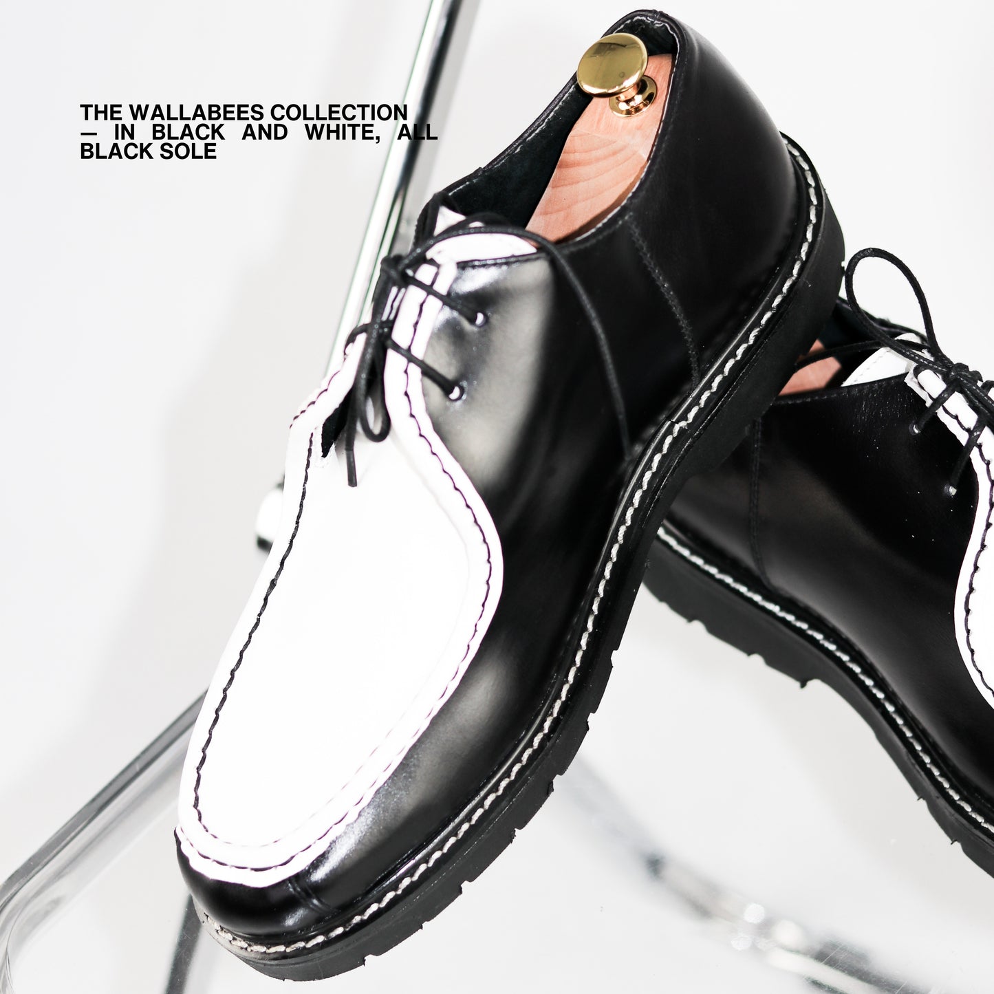 DERBY SHOES V2 IN BLACK & WHITE